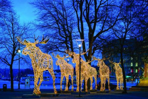 this image shows diamond springs lights