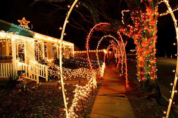 Christmas Light Brothers