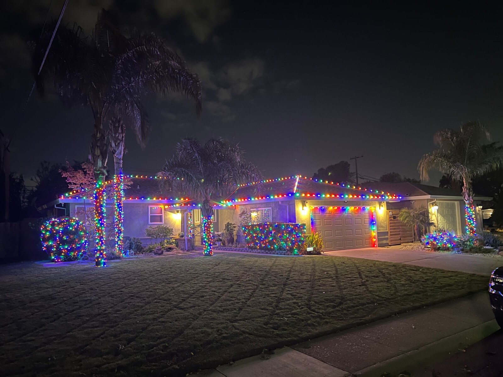 Christmas light installers in Diamond Springs, CA: ranch multicolor roofline palm wraps front yard