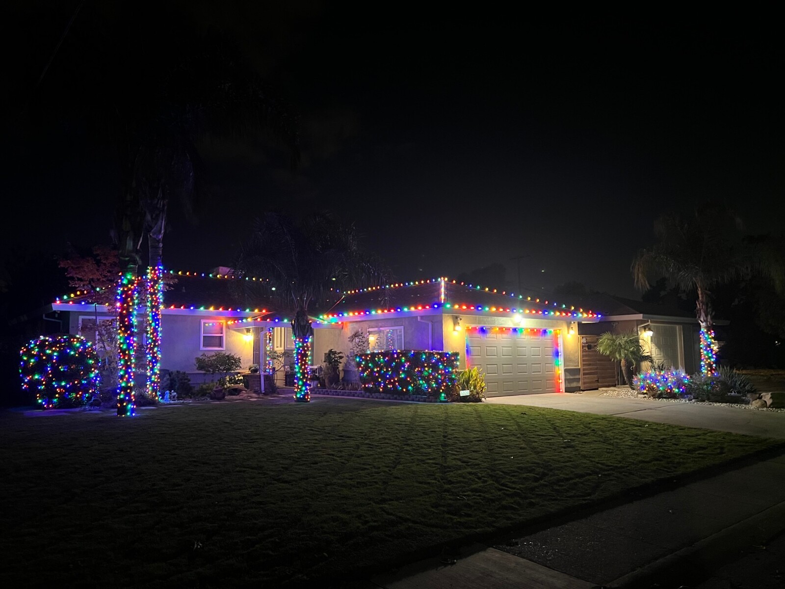 Christmas lights in Pollock Pines, CA: ranch multicolor roofline palm wraps lit bushes side