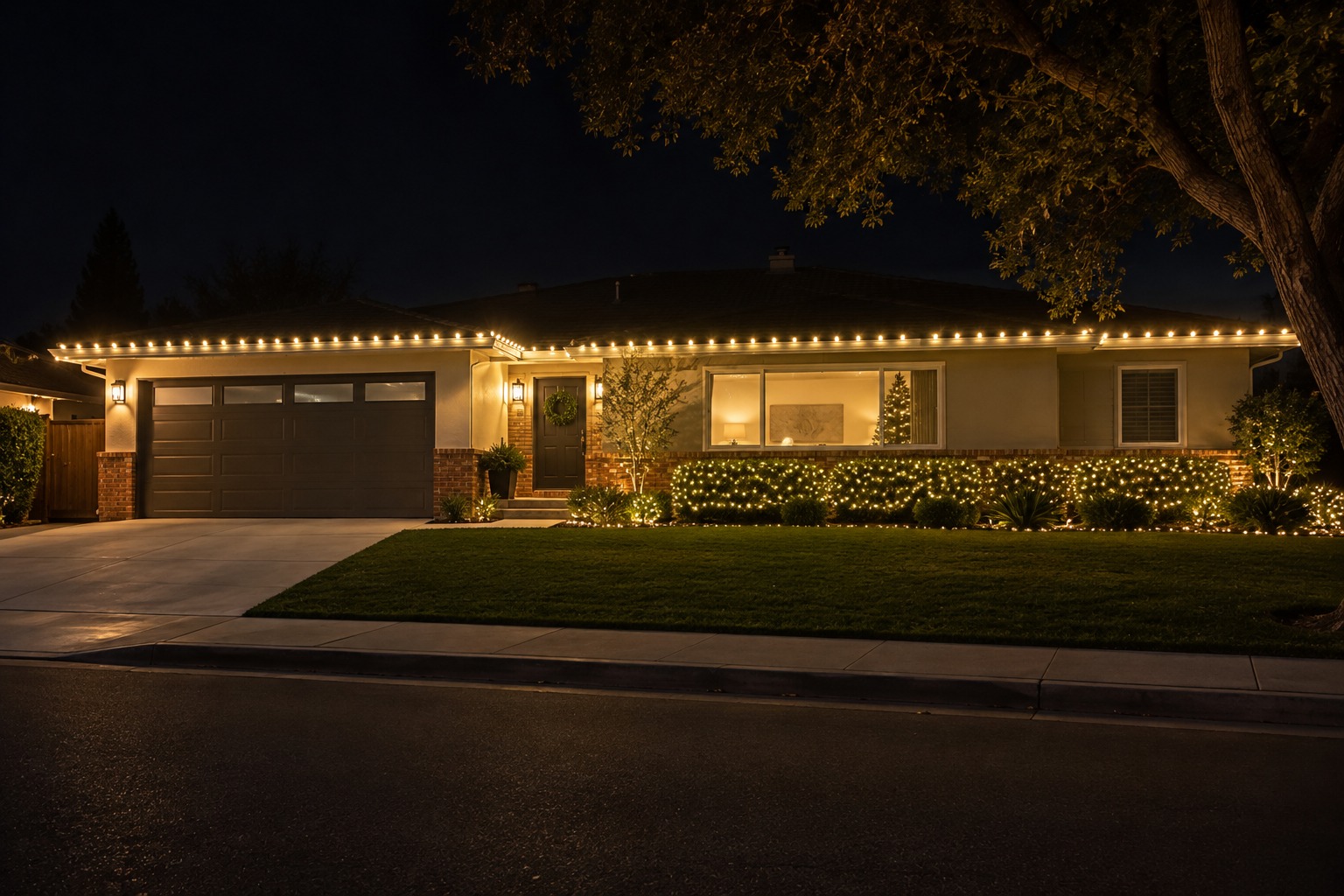 this image shows Christmas lights in Carmichael, CA